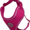 DDOXX Hondenharnas, Reflecterend, Verstelbaar, Breakaway | Borstharnas Voor Klein, Middelgroot | Hondenharnas Hond Kat Puppy Auto | Kattenharnas Puppy Harnas | Roze Roze, S -Dierenwinkel 1032x1200