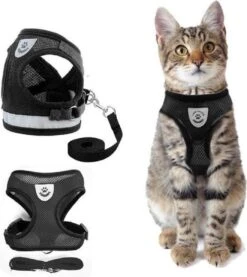 Merkloos Kattentuigje Met Looplijn | Zwart Kattenharnas | Easy Step In | Kattenriem | Kattenlijn | Kattentuig | Maat S -Dierenwinkel 1070x1200