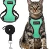 Kattentuigje Met Leiband Riem Kattenharnas Groen Maat M Kat & Kitten - Dieren Kattenriem - Cat Leash - Halsomvang 20 Tot 26cm - Borstomvang 30 Tot 34cm - Zootic® 1 Kattentuigje Met Leiband Riem Kattenharnas Groen Maat M Kat & Kitten - Dieren Kattenriem - Cat Leash - Halsomvang 20 Tot 26cm - Borstomvang 30 Tot 34cm - Zootic® -Dierenwinkel 1091x1200