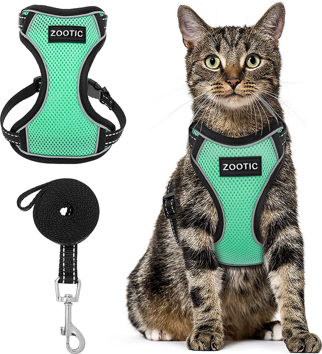 Kattentuigje Met Leiband Riem Kattenharnas Groen Maat M Kat & Kitten - Dieren Kattenriem - Cat Leash - Halsomvang 20 Tot 26cm - Borstomvang 30 Tot 34cm - Zootic® 3 Kattentuigje Met Leiband Riem Kattenharnas Groen Maat M Kat & Kitten - Dieren Kattenriem - Cat Leash - Halsomvang 20 Tot 26cm - Borstomvang 30 Tot 34cm - Zootic®