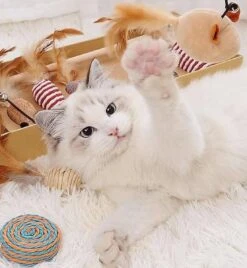 GIZMO Luxe Kattenspeeltjes Set - 7 Speeltjes - Interactieve Kattenhengel, Kattenspeelgoed & Speelmuisjes - Kitten Speeltjes -Dierenwinkel 1108x1200