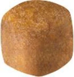 Royal Canin Maine Coon Kitten - Kattenvoer - 4 Kg -Dierenwinkel 1147x1200 2