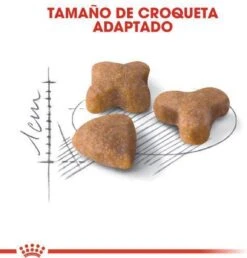 Royal Canin Sensible 33 - Kattenvoer - 10+2 Kg Bonusbag -Dierenwinkel 1149x1200 4