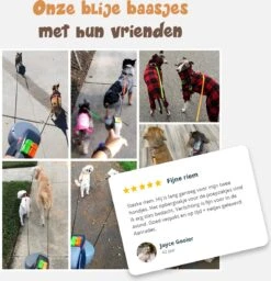 Dubbele Honden Riem – Leiband Hond – Hondenlijn – Looplijn Hond – 2 Honden – 3 Meter – Tot 12kg Per Hond – Reflecterende Lijnen – Met Zaklamp – 360° Draaien – Verstelbaar - Zwart -Dierenwinkel 1160x1200 2