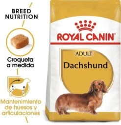 Royal Canin Dachshund/Teckel Adult 7.5 KG -Dierenwinkel 1162x1200 1