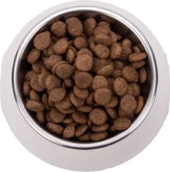 Vetality Hypoallergenic Hondenvoer - 10 Kg -Dierenwinkel 1187x1200 3