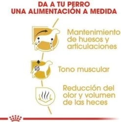 Royal Canin Dachshund/Teckel Adult 7.5 KG -Dierenwinkel 1190x1200