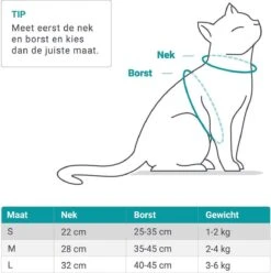 Merkloos Kattentuigje Met Looplijn | Zwart Kattenharnas | Easy Step In | Kattenriem | Kattenlijn | Kattentuig | Maat S -Dierenwinkel 1195x1200 2