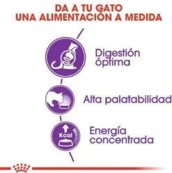 Royal Canin Sensible 33 - Kattenvoer - 10+2 Kg Bonusbag -Dierenwinkel 1197x1200 3