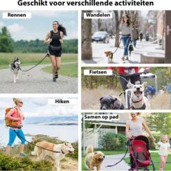 Filo Elastische Hondenriem Middel - Hardlopen En Wandelen - Hardloopriem Hond Handsfree Met Heuptasje - Looplijn Met Heupriem - Canicross Gordel Honden - Riemen - Heupgordel - Leiband -Dierenwinkel 1198x1200 3