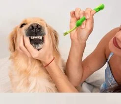 Merkloos Tandenborstel - Voor Huisdieren - Honden - 3 Zijdig - Multi-Hoek - Schoonmaken - Tanden - Slechte Adem - Tandsteen - Tandenborstel - Gezondheid - Blauw -Dierenwinkel 1200x1042