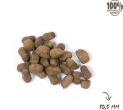 VITALstyle SPIEREN+GEWRICHTEN - Hondenbrokken - 12 Kg -Dierenwinkel 1200x1067