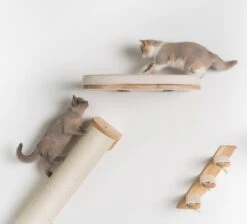 RHRQuality Wandmeubel Wandmontage Klimmuur Kat 53 X 43cm Luxe Kattenbed Creme Wand Muur Krabpaal Katten Muurbevestiging -Dierenwinkel 1200x1090 1