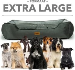 Primeplus Grote Hondenmand XL - Grijs - 100x80x20 CM - Orthopedische Hondenmanden - Hondenkussen -Dierenwinkel 1200x1114