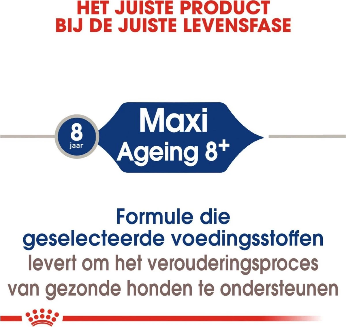 Royal Canin Maxi Ageing 8+ 15 KG 4 Royal Canin Maxi Ageing 8+ 15 KG - Afbeelding 2