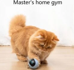 Otiume Interactieve Speelbal - Slimme Interactieve Jaag Speeltje Voor Katten - Kattenspeeltjes - Intelligente Jaagbal - AI -USB Oplaadbaar - LED - Blauw -Dierenwinkel 1200x1137 5