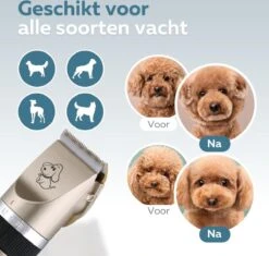 BYER Professionele Dieren Tondeuse Set - Voor Huisdieren Katten & Honden - Draadloos - Oplaadbare Pet Trimmer - Dog Tondeuze Clipper - 5 Standen & Vier Opzetkammen - Low Noise -Dierenwinkel 1200x1144