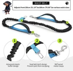 BOTC Looplijn Hond Met Heupriem Voor Hardlopen - Met Drinkbak Hond - Hondenriem - 1 Roll Poep Zakjes - Zwart -Dierenwinkel 1200x1159 1