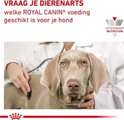 Royal Canin Anallergenic - Hondenvoer - 8 Kg -Dierenwinkel 1200x1161 3