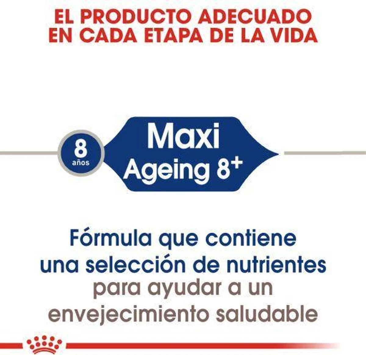Royal Canin Maxi Ageing 8+ 15 KG 18 Royal Canin Maxi Ageing 8+ 15 KG - Afbeelding 16