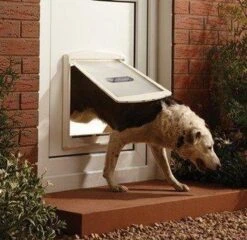 Staywell 777 Hondenluik - Large - Zilver/Tranparant -Dierenwinkel 1200x1168 4