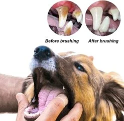 Doodadeals® 4 Stuks Siliconen Honden Tandenborstel - Tanden Borstel Hond - Silicone Dog Tootbrush - Multikleur -Dierenwinkel 1200x1175