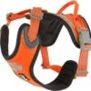 Hurtta Weekend Warrior Harness - 45/60 Cm - Neon Orange -Dierenwinkel 1200x1177