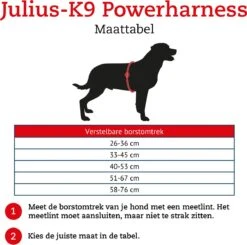Julius K9 K9®Powertuig, S - Mini, Zwart -Dierenwinkel 1200x1189 1