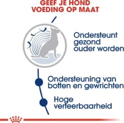 Royal Canin Maxi Ageing 8+ 15 KG 21 Royal Canin Maxi Ageing 8+ 15 KG -Dierenwinkel 1200x1192