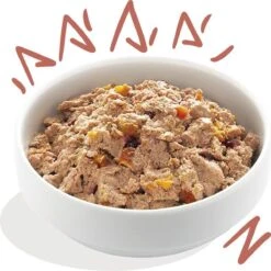 11x Edgard & Cooper Kuipje Vers Vlees Senior Hondenvoer Kip - Zalm 150 Gr -Dierenwinkel 1200x1198