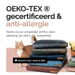 Rexproduct Hondenkussen - Hondenmand - Hondenbed Met Rits En Wasbaar - Manden & Kussens 90 X 110 CM - 0 Tot 80 Kg - SoftPet Groen -Dierenwinkel 1200x1200 151