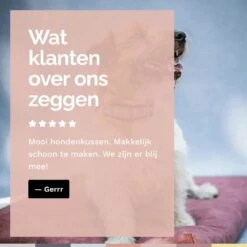 Rexproduct Hondenkussen - Hondenmand - Hondenbed Met Rits En Wasbaar - Manden & Kussens 90 X 110 CM - 0 Tot 80 Kg - SoftPet Groen -Dierenwinkel 1200x1200 157