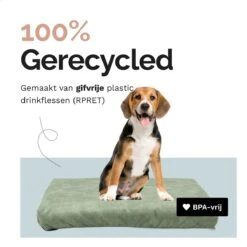 Rexproduct Hondenkussen - Hondenmand - Hondenbed Met Rits En Wasbaar - Manden & Kussens 90 X 110 CM - 0 Tot 80 Kg - SoftPet Groen -Dierenwinkel 1200x1200 158