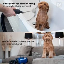 Nuvoo Professionele Hondenföhn / Waterblazer / Hondenborstel Met 3 Opzetstukken - Verstelbare Vermogen Tot 2200W - Warme / Koude Stand - Rood 15 Nuvoo Professionele Hondenföhn / Waterblazer / Hondenborstel Met 3 Opzetstukken - Verstelbare Vermogen Tot 2200W - Warme / Koude Stand - Rood -Dierenwinkel 1200x1200 16