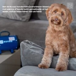 Nuvoo Professionele Hondenföhn / Waterblazer / Hondenborstel Met 3 Opzetstukken - Verstelbare Vermogen Tot 2200W - Warme / Koude Stand - Rood 19 Nuvoo Professionele Hondenföhn / Waterblazer / Hondenborstel Met 3 Opzetstukken - Verstelbare Vermogen Tot 2200W - Warme / Koude Stand - Rood -Dierenwinkel 1200x1200 18