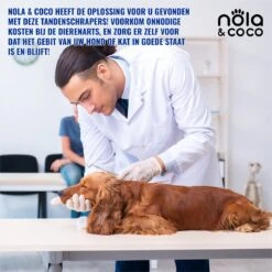 Nola & Coco® Tandsteen Verwijderaar Set Inclusief Bewaardoosje - Tandenkrabber - Set Van Twee - Hond - Kat - Tandenborstel - Tandplak Verwijderen - Tandenstoker - Honden Tanden Schoonmaken - Tandenhaakje - Gebitsreiniging -Dierenwinkel 1200x1200 183