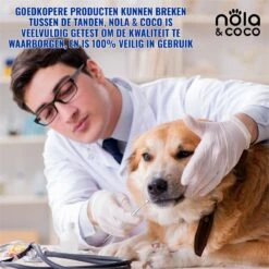 Nola & Coco® Tandsteen Verwijderaar Set Inclusief Bewaardoosje - Tandenkrabber - Set Van Twee - Hond - Kat - Tandenborstel - Tandplak Verwijderen - Tandenstoker - Honden Tanden Schoonmaken - Tandenhaakje - Gebitsreiniging -Dierenwinkel 1200x1200 184