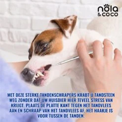 Nola & Coco® Tandsteen Verwijderaar Set Inclusief Bewaardoosje - Tandenkrabber - Set Van Twee - Hond - Kat - Tandenborstel - Tandplak Verwijderen - Tandenstoker - Honden Tanden Schoonmaken - Tandenhaakje - Gebitsreiniging -Dierenwinkel 1200x1200 186