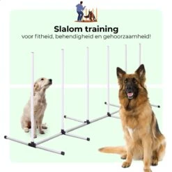 AYOO Agility Voor De Hond - Honden Training - Honden Behendigheid Set - Hondenparcours - Training Huisdieren - Honden Agility Set - Slalom - Horde - Draagzak - Agility Set - Oranje - Wit - GRATIS Speeltouw -Dierenwinkel 1200x1200 200