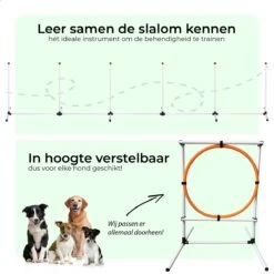 AYOO Agility Voor De Hond - Honden Training - Honden Behendigheid Set - Hondenparcours - Training Huisdieren - Honden Agility Set - Slalom - Horde - Draagzak - Agility Set - Oranje - Wit - GRATIS Speeltouw -Dierenwinkel 1200x1200 202