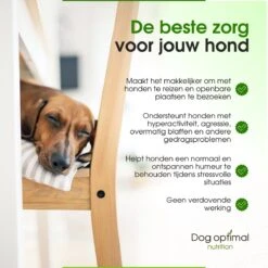 RUST EN KALMEREN CALMING Support 120 Stuks - Kalmeren - AntistressmiddelHond - Hond - Hondenkoekjes - Hondensupplementen - Honden - Puppy - Hondenvoeding -Dierenwinkel 1200x1200 216