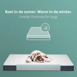 CozySense® - Orthopedisch Hondenkussen - Hondenkussen 100 X 70 Cm - Geschikt Als Benchkussen & Hondenbed - Hondenkussen Bank - Traagschuim - Waterdicht - Wasbare Hoes - Maat XL -Dierenwinkel 1200x1200 223