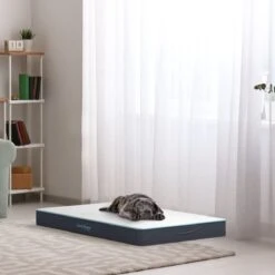 CozySense® - Orthopedisch Hondenkussen - Hondenkussen 100 X 70 Cm - Geschikt Als Benchkussen & Hondenbed - Hondenkussen Bank - Traagschuim - Waterdicht - Wasbare Hoes - Maat XL -Dierenwinkel 1200x1200 225