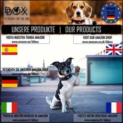 DDOXX Hondenharnas, Reflecterend, Verstelbaar, Breakaway | Borstharnas Voor Klein, Middelgroot | Hondenharnas Hond Kat Puppy Auto | Kattenharnas Puppy Harnas | Roze Roze, S -Dierenwinkel 1200x1200 232