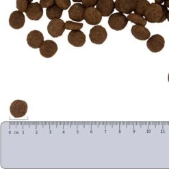 Vetality Hypoallergenic Hondenvoer - 10 Kg -Dierenwinkel 1200x1200 242