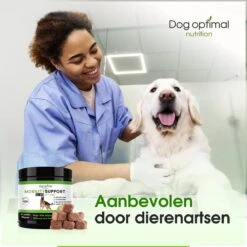 DOG OPTIMAL Gewricht Supplement 120 Stuks - Mobility - Glucosamine Hond - Artrose - Heupdysplasie - Gewrichten - Hondensnacks - Hondenkoekjes - Hondensupplementen - Honden - Puppy - Hondenvoeding -Dierenwinkel 1200x1200 254