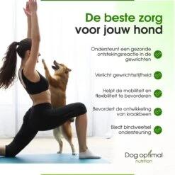 DOG OPTIMAL Gewricht Supplement 120 Stuks - Mobility - Glucosamine Hond - Artrose - Heupdysplasie - Gewrichten - Hondensnacks - Hondenkoekjes - Hondensupplementen - Honden - Puppy - Hondenvoeding -Dierenwinkel 1200x1200 256