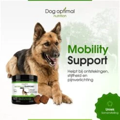 DOG OPTIMAL Gewricht Supplement 120 Stuks - Mobility - Glucosamine Hond - Artrose - Heupdysplasie - Gewrichten - Hondensnacks - Hondenkoekjes - Hondensupplementen - Honden - Puppy - Hondenvoeding -Dierenwinkel 1200x1200 257