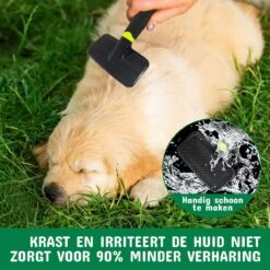 Mister Mill Professionele Set Slicker Honden Kattenborstel Plus Nagelknipper Plus Ondervacht Kam -Dierenwinkel 1200x1200 26