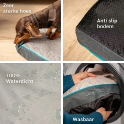 CozySense® - Orthopedisch Hondenkussen - Hondenkussen 90 X 55 Cm - Ook Geschikt Als Benchkussen & Hondenbed - Hondenkussen Bank - Traagschuim - Waterdicht - Wasbare Hoes - Maat L -Dierenwinkel 1200x1200 265